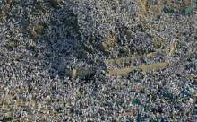 HACILAR ARAFAT'TA