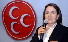 ''ERDOĞAN NE İSTERSE O OLUR DEYİN BİTSİN''