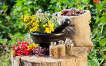 HOMEOPATİ İLE İÇİNİZDEKİ YAŞAMSAL GÜCÜ YENİDEN AKTİVE EDİN