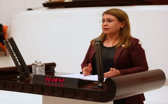 CHP GENEL BAŞKAN YARDIMCISI KARACA'DAN ATLI FAYTONLARLA İLGİLİ MÜJDE