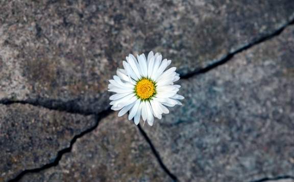 ''Depremzede İşsiz Kalmasın'' Projesi