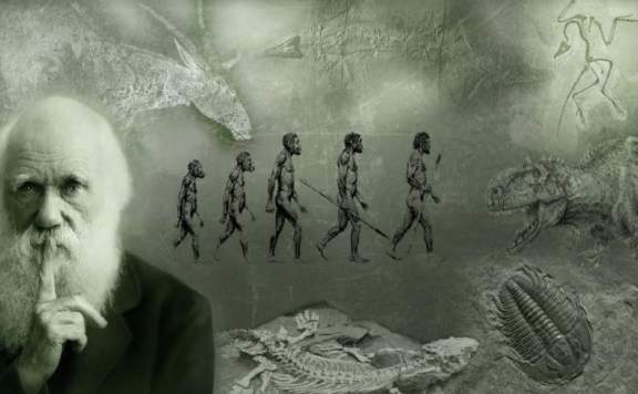Komünist Yazardan Darwin Karşıtı Çıkış -II: Evrim Yanılgısı